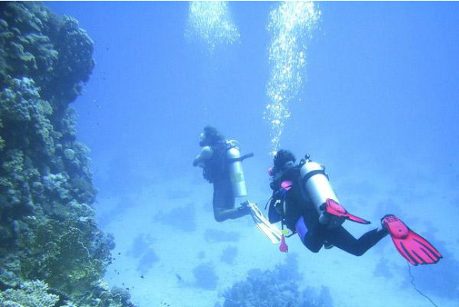 Curso de Buceo Open Water Diver (Tenerife)