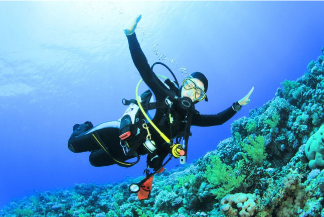 Curso de Iniciación al Buceo con Fotos y Vídeos (Vilagarcía de Arousa, Pontevedra)