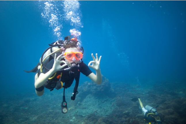 Curso de Iniciación al Buceo con Fotos y Vídeos (Vilagarcía de Arousa, Pontevedra)