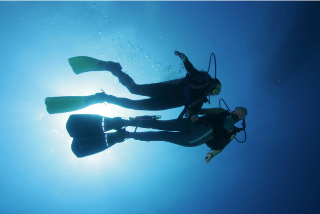 Curso Open Water Diver (Gran Canaria)