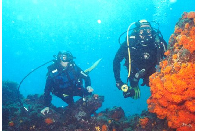 Curso de Buceo Open Water Diver (Granada)
