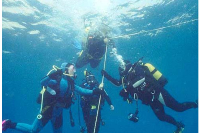 Curso de Buceo Open Water Diver (Granada)