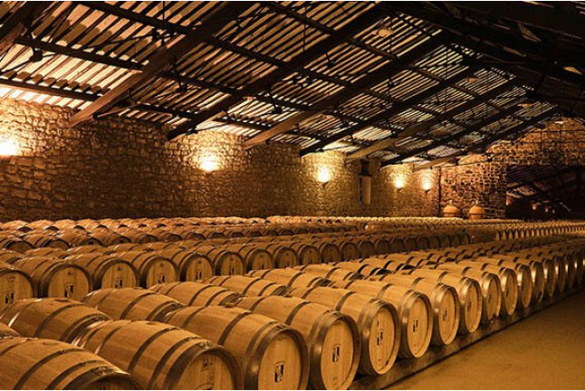 Visita Guiada a Bodega CVNE con Cata de Vinos y Aperitivo para dos (La Rioja)