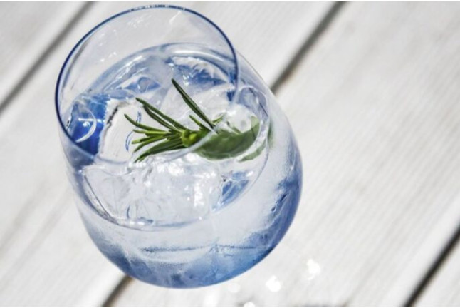 Degustación de 3 Mini Gin Tonic con Ginebras Artesanas (Madrid)