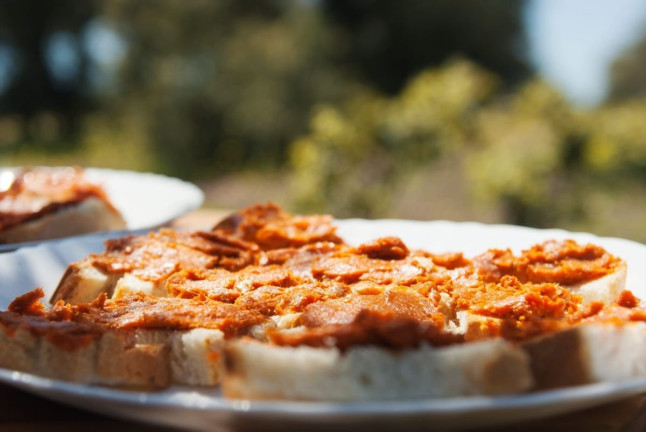 Gastro Dehesa: Ruta Musealizada de la Dehesa y Degustación (Mérida, Badajoz)
