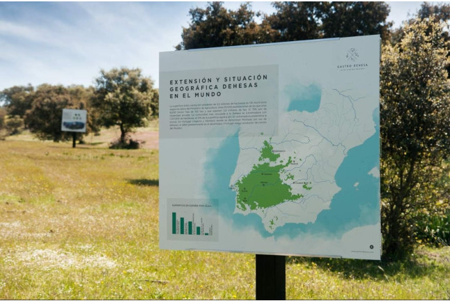 Gastro Dehesa: Ruta Musealizada de la Dehesa y Degustación (Mérida, Badajoz)