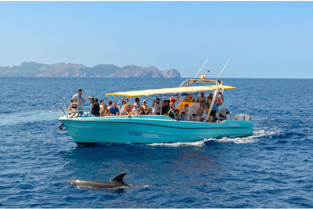 Dolphin Experience: Navegación con Avistamiento de Delfines (Mallorca)