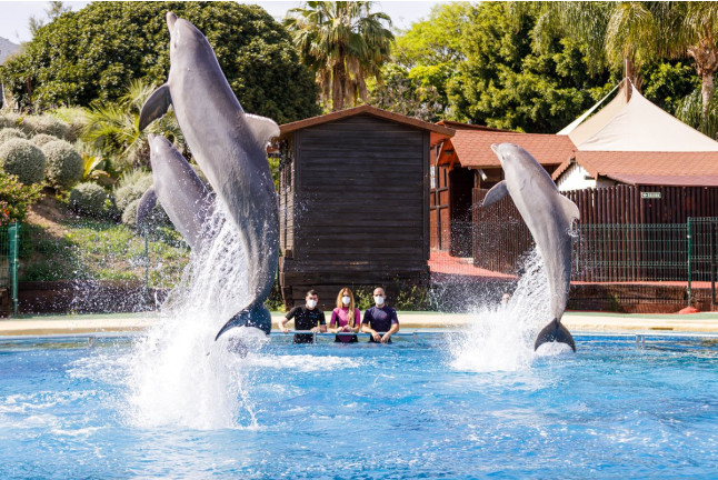 Encuentro con Delfines en Selwo Marina Delfinarium (Málaga)