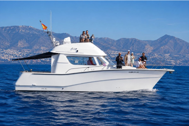 Dolphin Trip: Avistamiento de Delfines en Barco (Fuengirola, Málaga)