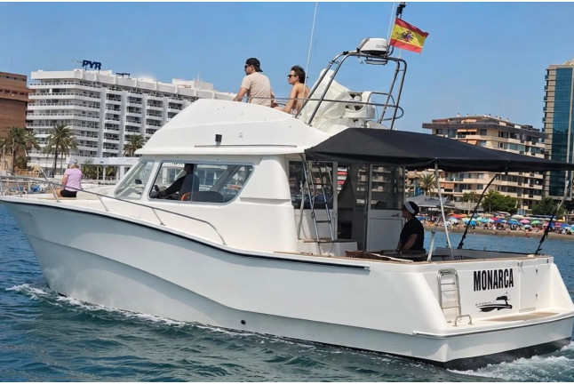 Dolphin Trip: Avistamiento de Delfines en Barco (Fuengirola, Málaga)