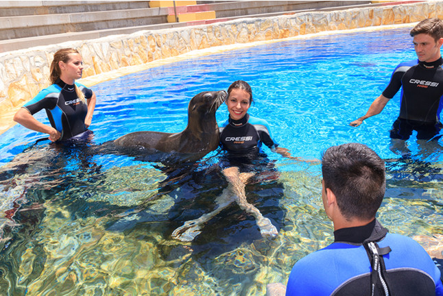 Encuentro con Delfines, Nadar con Leones Marinos o Vip Tour en Mundomar (Alicante)