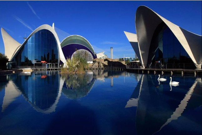 Pasaporte Animalia: Encuentro con Delfines y Leones Marinos con Entrada al Oceanogràfic (Valencia)
