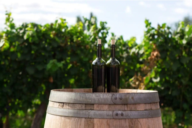 Desayuno y Visita Completa a Bodega con Degustación y Cata de Vinos en Bodega Miquel J. Jané (Barcelona)