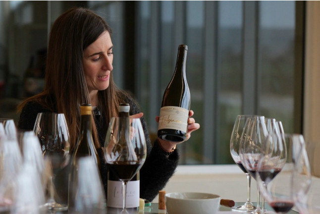 Visita a Bodega Dominio Lubiano con Cata de 3 Vinos y Aperitivo (Pesquera de Duero, Valladolid)