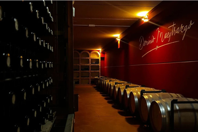 Visita a Bodega y Cata de Vino en Bodegas Dominio Maestrazgo (Alcorisa, Teruel)