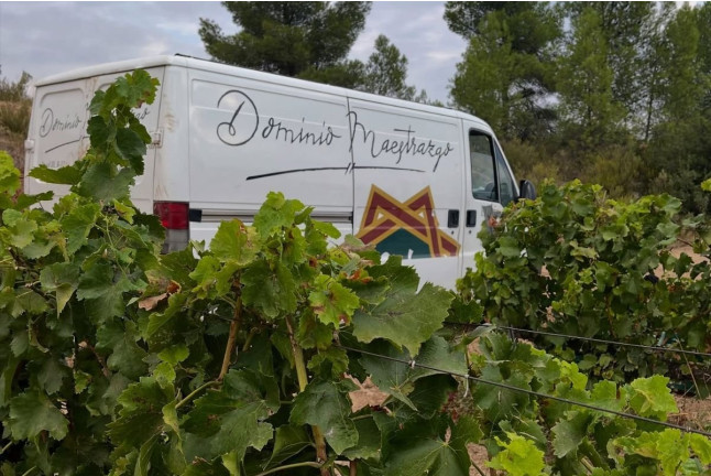 Visita a Bodega y Cata de Vino en Bodegas Dominio Maestrazgo (Alcorisa, Teruel)