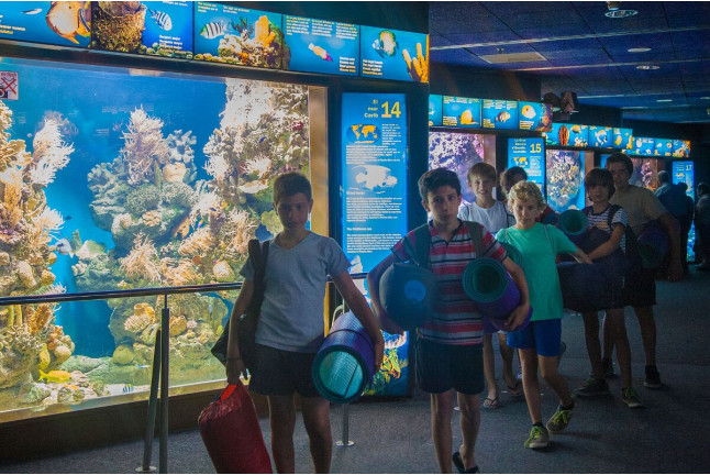 Dormir con Tiburones en L'Aquàrium de Barcelona (Barcelona)