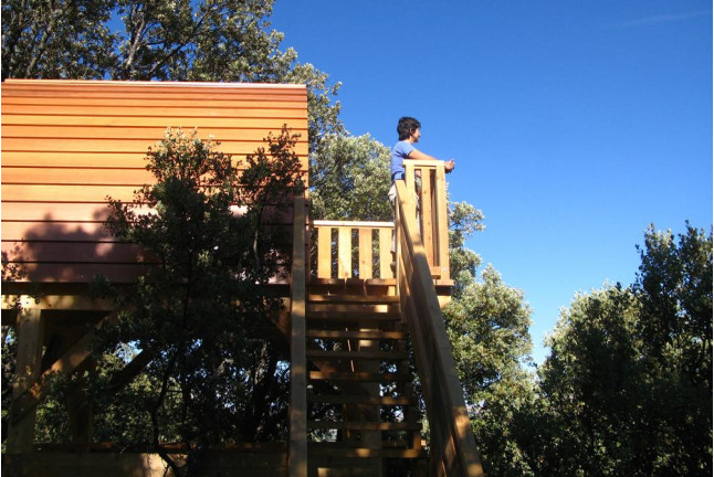 Dormir en una Cabaña en los Árboles para dos (Madrid)