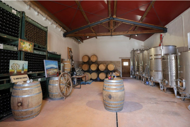 Visita a la Bodega El Jardí dels Sentits y Cata de Vinos a la Sombra de un Monasterio para dos (Sant Sebastià dels Gorgs, Barcelona)