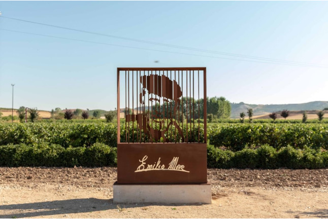 In Malleolus Veritas: Visita a Bodega, Aperitivo y Cata Premium de Vino en Bodegas Emilio Moro (Pesquera de Duero, Valladolid)
