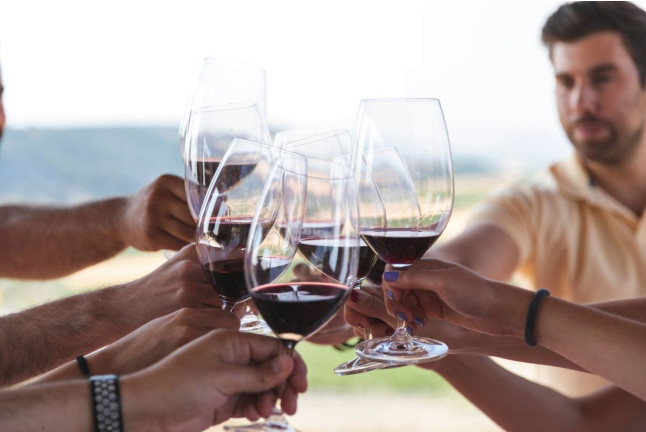 Viaje al Origen: Merendero Sanchomartin, Visita a Bodega, Cata de Vinos y Menú Especial en Bodegas Emilio Moro (Valladolid)