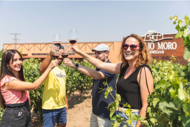 Saborea Nuestra Ribera: Visita a Bodega, Tapas Gourmet y Cata de Vino en Bodegas Emilio Moro (Valladolid)