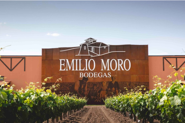 Saborea Nuestra Ribera: Visita a Bodega, Tapas Gourmet y Cata de Vino en Bodegas Emilio Moro (Valladolid)