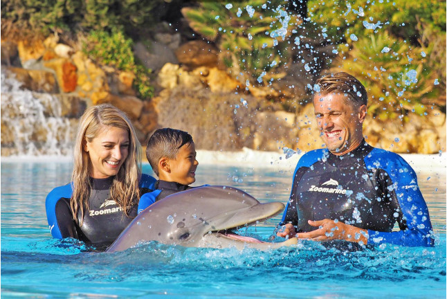 Dolphin Emotions Encounter: Encuentro con Delfines y Entrada a Zoomarine (Portugal)