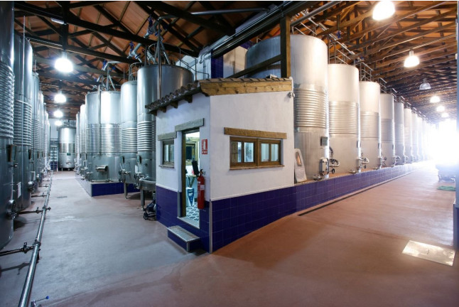 Visita a Bodegas Castiblanque con Cata de Vino y Comida (Campo de Criptana, Ciudad Real)