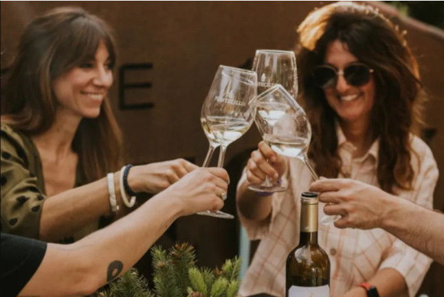 Visita a Bodega Montecillo con Taller de Barricas, Cata de Vinos Premium y Picnic (Navarrete, La Rioja)