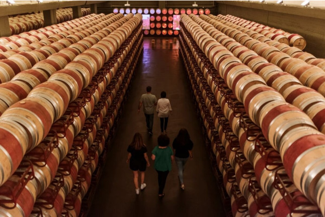 Visita a Bodega Montecillo con Taller de Barricas, Cata de Vinos Premium y Picnic (Navarrete, La Rioja)