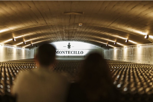 Visita a Bodega Montecillo con Taller de Barricas, Cata de Vinos Premium y Picnic (Navarrete, La Rioja)