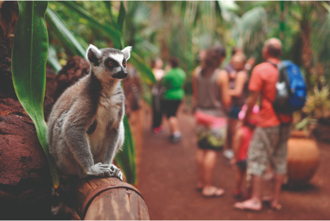 Entrada a Oasis Wildlife Fuerteventura (La Lajita, Fuerteventura)