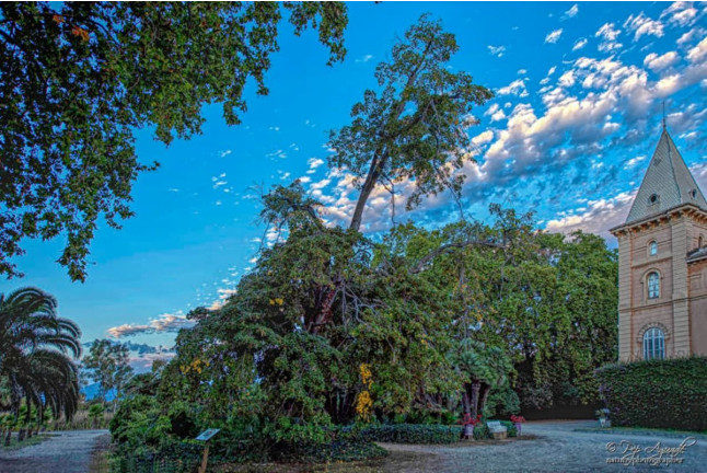 Entrada a Parc Samà (Cambrils, Tarragona)