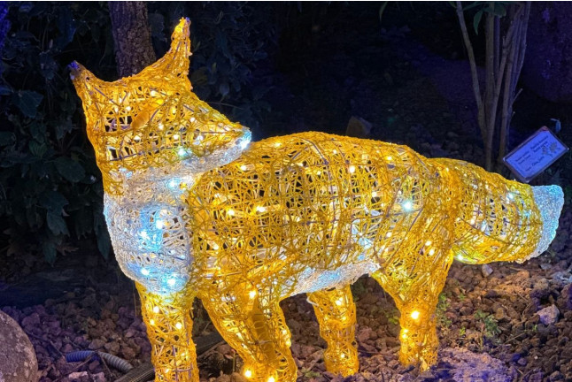 Oferta: Entrada a El Bosque Encantado y Dinolandia (Madrid)