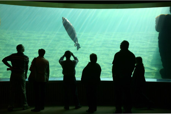 Entrada al Oceanogràfic (Valencia)