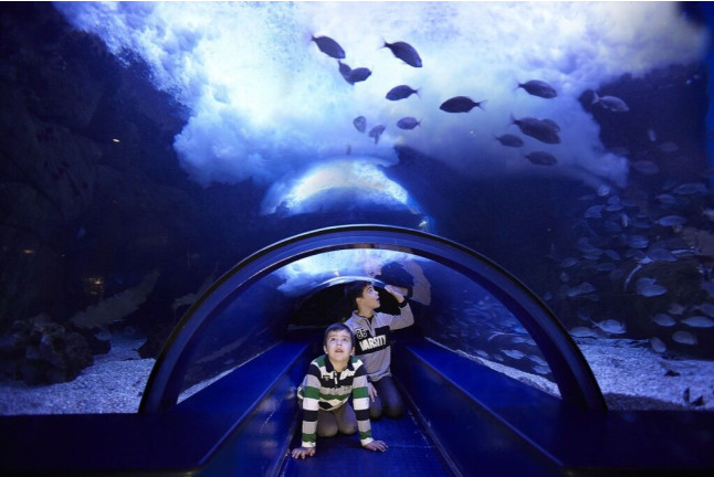 Entrada al Oceanogràfic (Valencia)