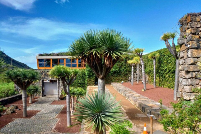 Entrada al Parque del Drago (Icod de los Vinos, Santa Cruz de Tenerife)