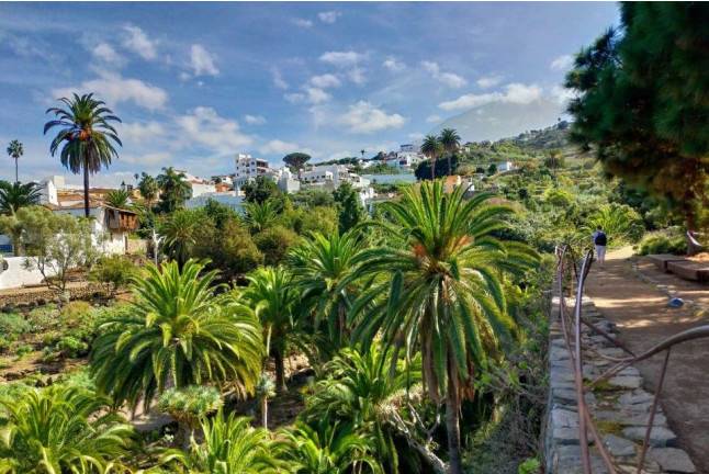Entrada al Parque del Drago (Icod de los Vinos, Santa Cruz de Tenerife)