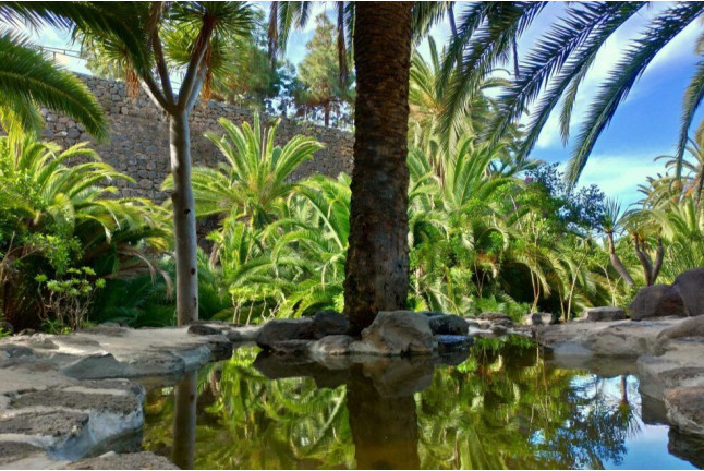 Entrada al Parque del Drago (Icod de los Vinos, Santa Cruz de Tenerife)