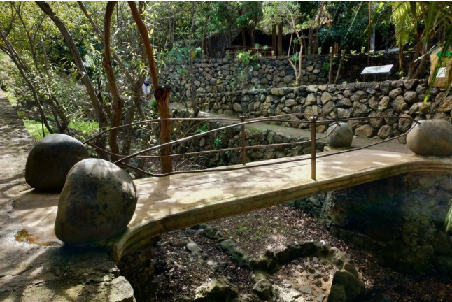 Entrada al Parque del Drago (Icod de los Vinos, Santa Cruz de Tenerife)