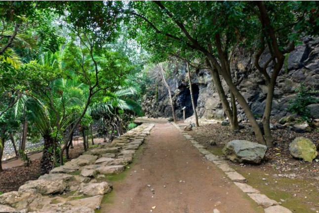 Entrada al Parque del Drago (Icod de los Vinos, Santa Cruz de Tenerife)