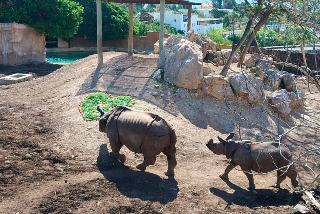 Entrada Combinada a Terra Natura y a Aqua Natura (Benidorm, Alicante)