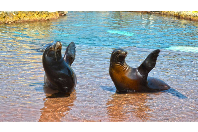 Entrada Combinada a Terra Natura y a Aqua Natura (Benidorm, Alicante)