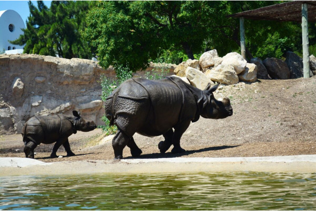 Entrada a Terra Natura (Benidorm, Alicante)