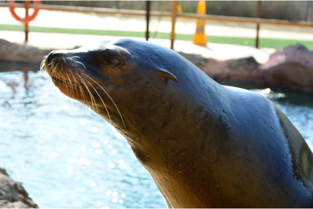 Entrada a Terra Natura (Benidorm, Alicante)
