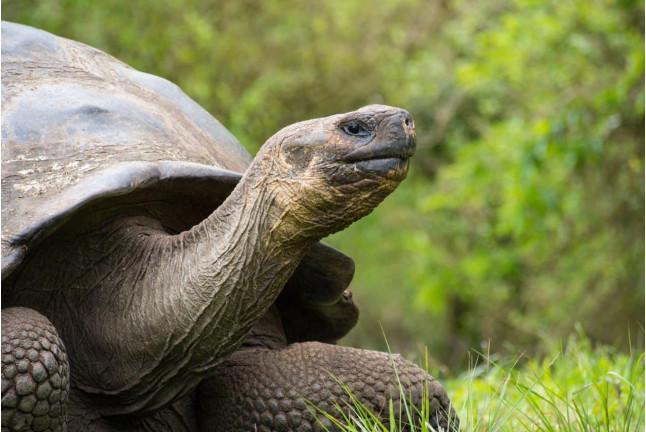 OFERTA EXCLUSIVA: Entrada al Zoo de Barcelona (Barcelona)