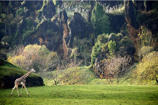 Entradas al Parque de la Naturaleza de Cabárceno y Telecabina (Obregón, Cantabria)