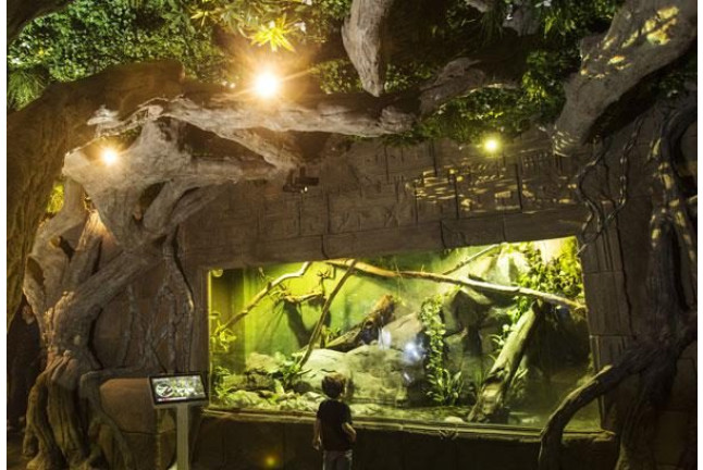 Entrada al Acuario de Sevilla (Sevilla)