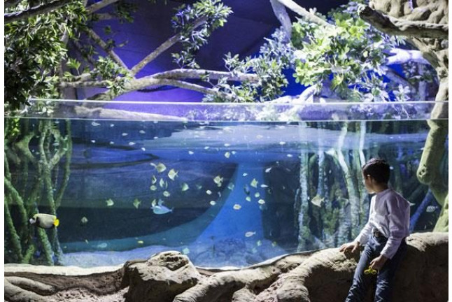 Entrada al Acuario de Sevilla (Sevilla)
